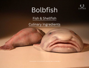 Blobfish Deep Sea