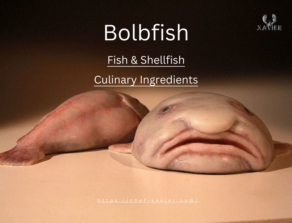 Blobfish Deep Sea